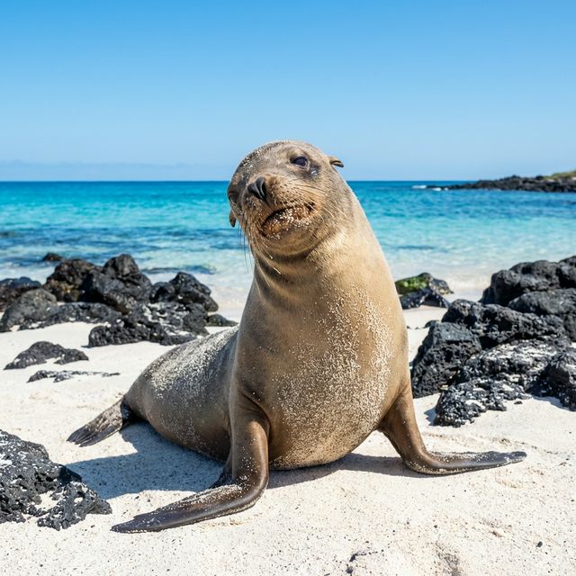 Galapagos Land Based Tours
